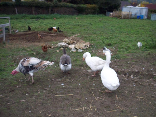 Eco ferme soluzion à La Ferté-sous-Jouarre