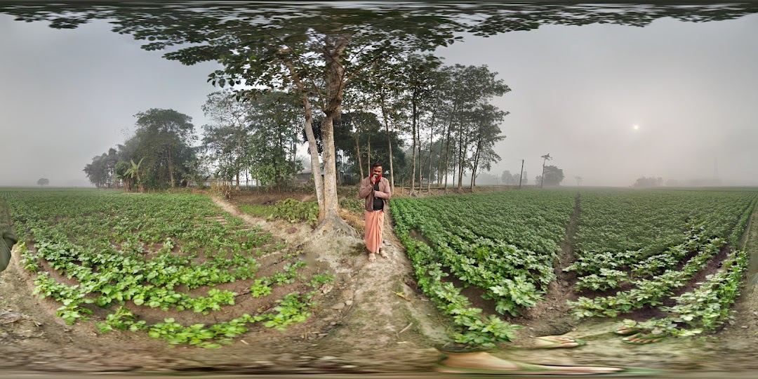 ডাক্তারের দোকান