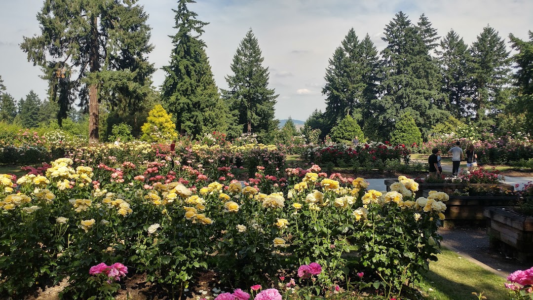 Washington Park International Rose Test Garden