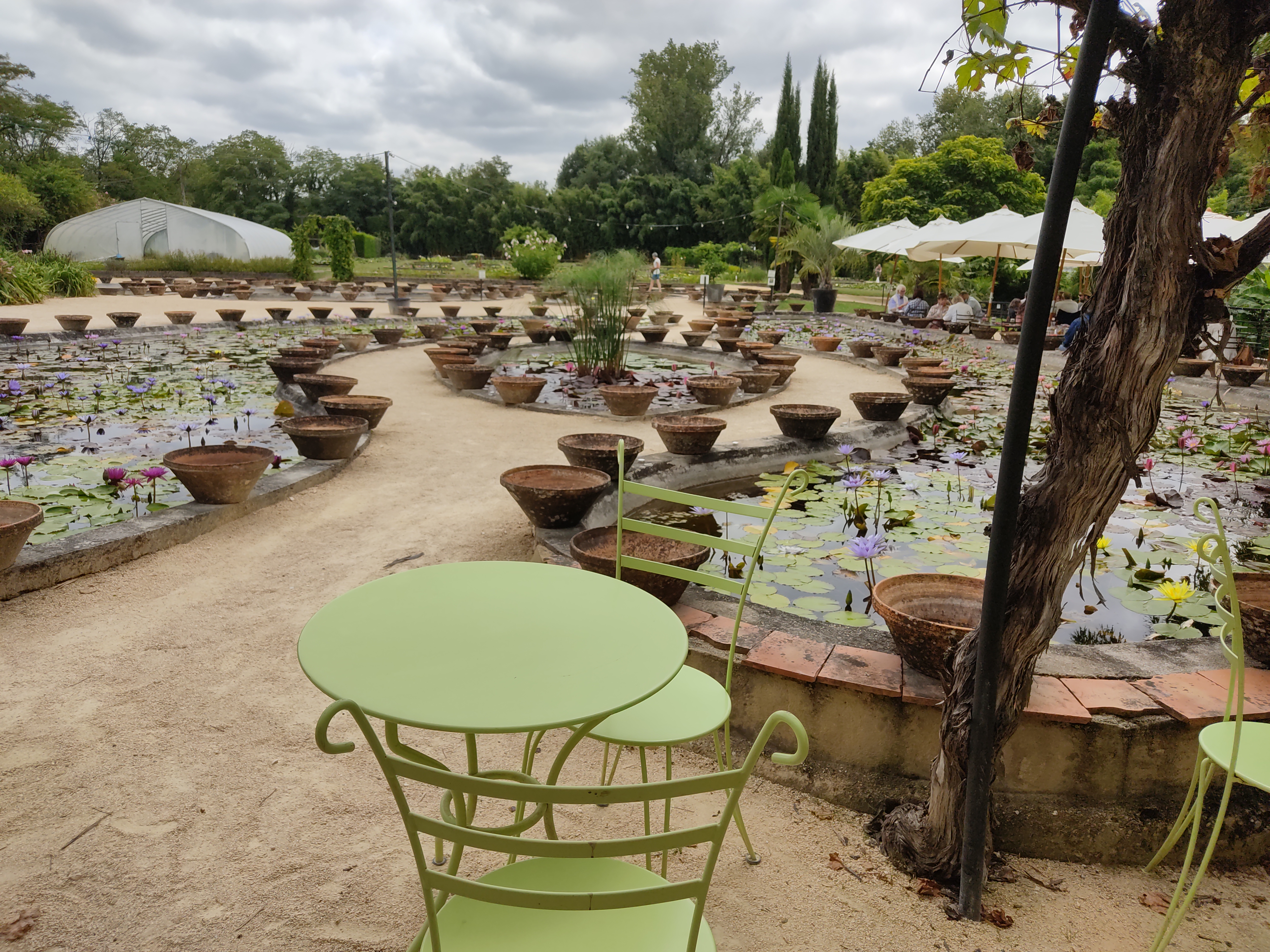 Photo n° 1 de l'avis de Vic5401.l fait le 17/10/2021 à 20:13