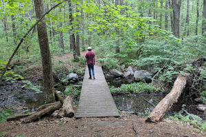 Foster's Pond Natural Area