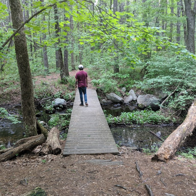 Foster's Pond Natural Area