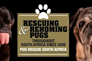 Pug Rescue image