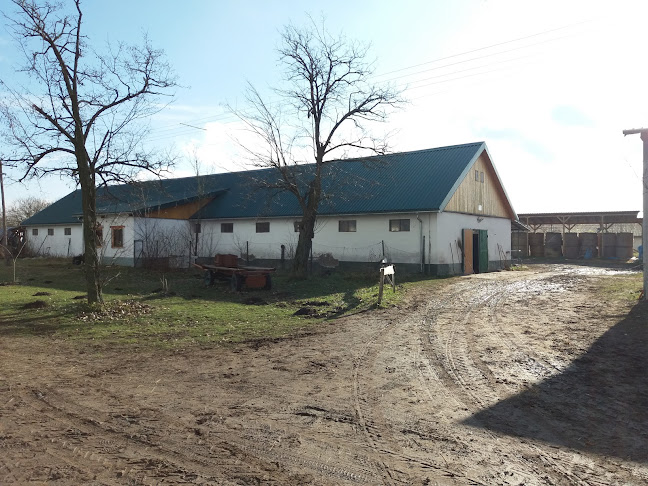 Csongrád, Tanya 95, 6640