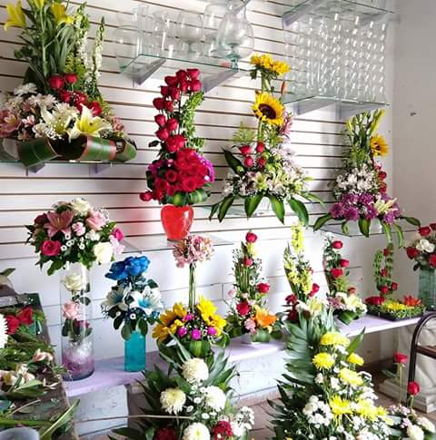 Florería Gardenia – Tula