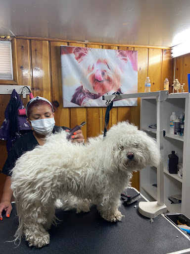 Connie’s Pet Grooming Salon