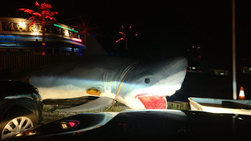 Night Club «Mardi Gras», reviews and photos, 1500 Oaklawn Ave, Cranston, RI 02920, USA