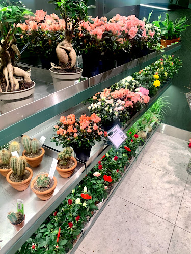 Rezensionen über Migros Florissimo Glattzentrum in Zürich - Blumengeschäft