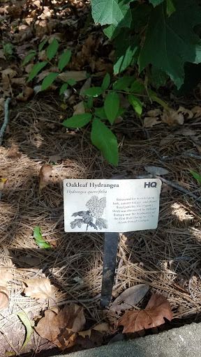 Antique Store «Madison Markets ~ Antiques & Interiors», reviews and photos, 144 Academy St, Madison, GA 30650, USA