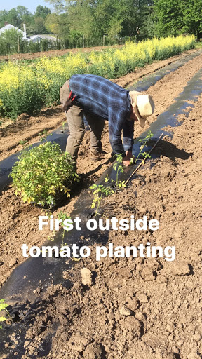 Produce Market «Highland Orchards Farm Market», reviews and photos, 1431 Foulk Rd, Wilmington, DE 19803, USA