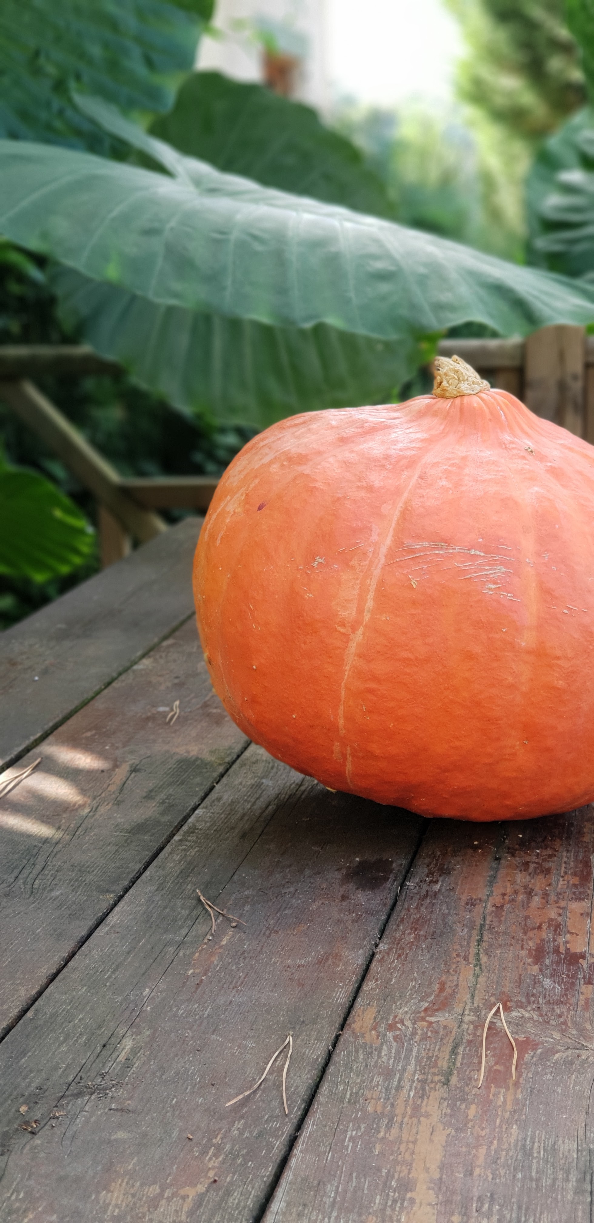 Photo n° 8 de l'avis de Stéphane.a fait le 23/09/2018 à 15:09