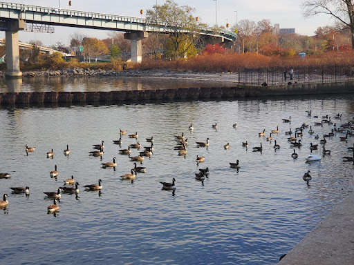 Park «Little Bay Park», reviews and photos, Cross Island Pkwy, Whitestone, NY 11357, USA