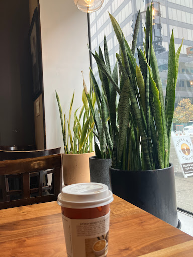 Tierra Mia Coffee image