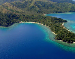Foto von Waitatavi Bay Beach mit etwas sauber Sauberkeitsgrad