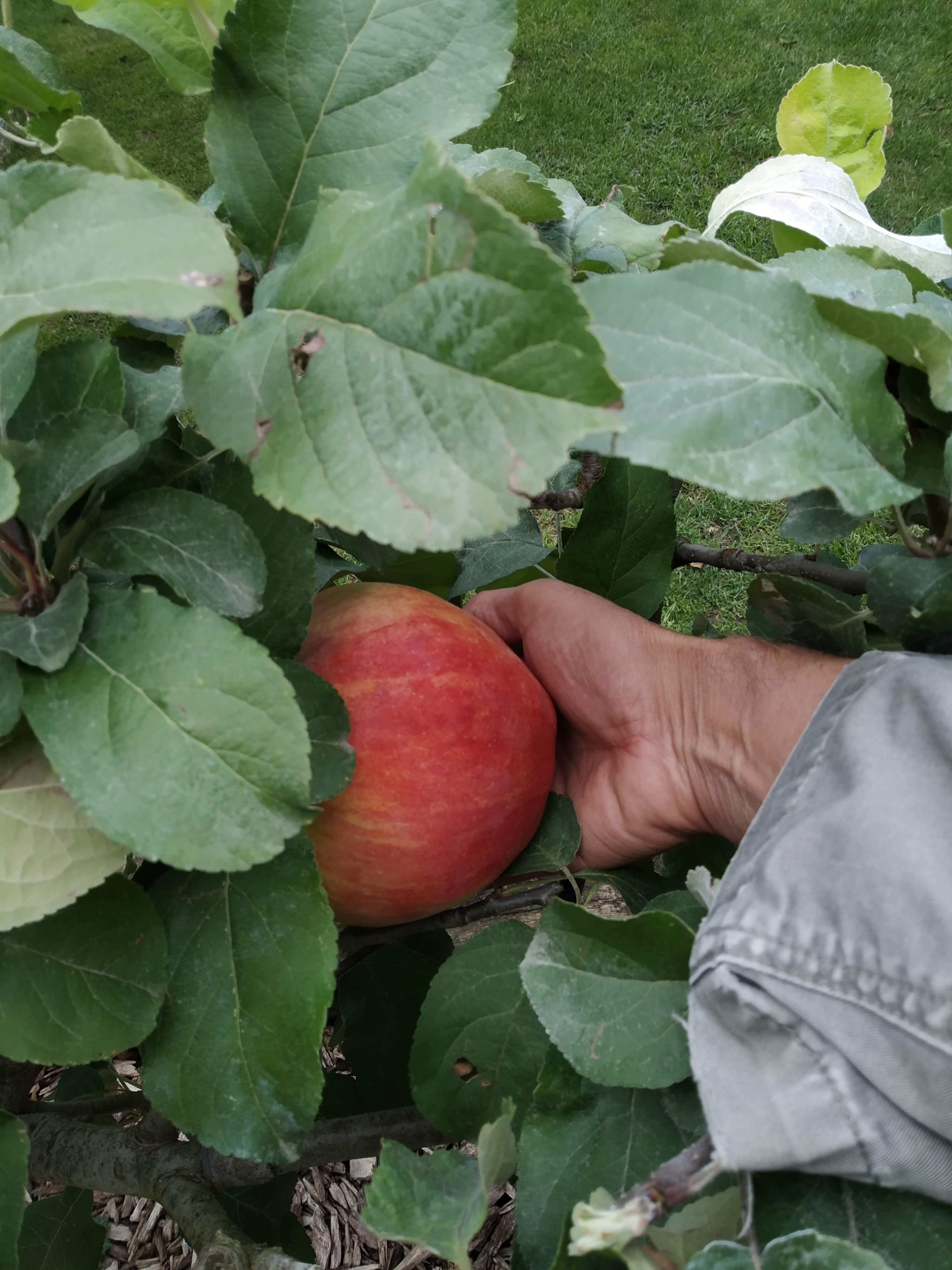 Photo n° 22 de l'avis de babeth.i fait le 17/09/2020 à 20:25
