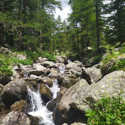 Val du Haut Boréon à Saint-Martin-Vésubie