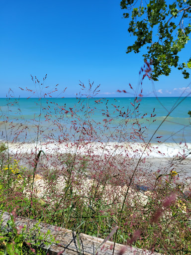 Nature Preserve «Fort Sheridan Forest Preserve», reviews and photos, 117 Sheridan Rd, Lake Forest, IL 60045, USA