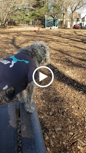 Park «Medway Dog Park», reviews and photos, 298 Village St, Medway, MA 02053, USA