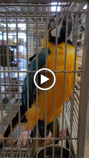 Pet Store «El Palomar Pet Shop Inc», reviews and photos, 4712 W Flagler St, Coral Gables, FL 33134, USA
