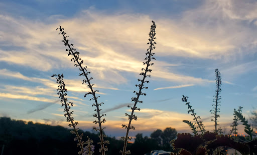 Winery «Echo Hill Orchards & Winery», reviews and photos, 101 Wilbraham Rd, Monson, MA 01057, USA