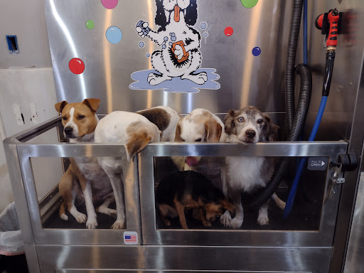 Pet Groomer «Belly scRubs Self Service Pet Wash», reviews and photos, 119 WV-34 #1, Hurricane, WV 25526, USA