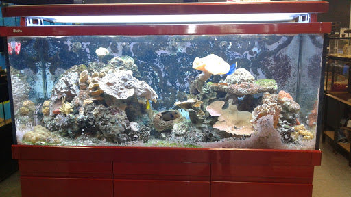 Pet Store «Oceans Of Pets», reviews and photos, 1794 Diamond Hill Road, Woonsocket, RI 02895, USA