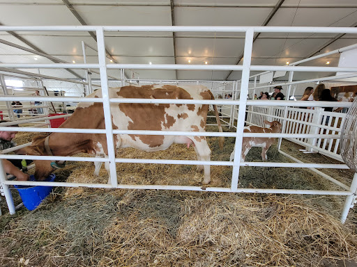 Fairground «Dutchess County Fairgrounds», reviews and photos, 6550 Spring Brook Ave, Rhinebeck, NY 12572, USA