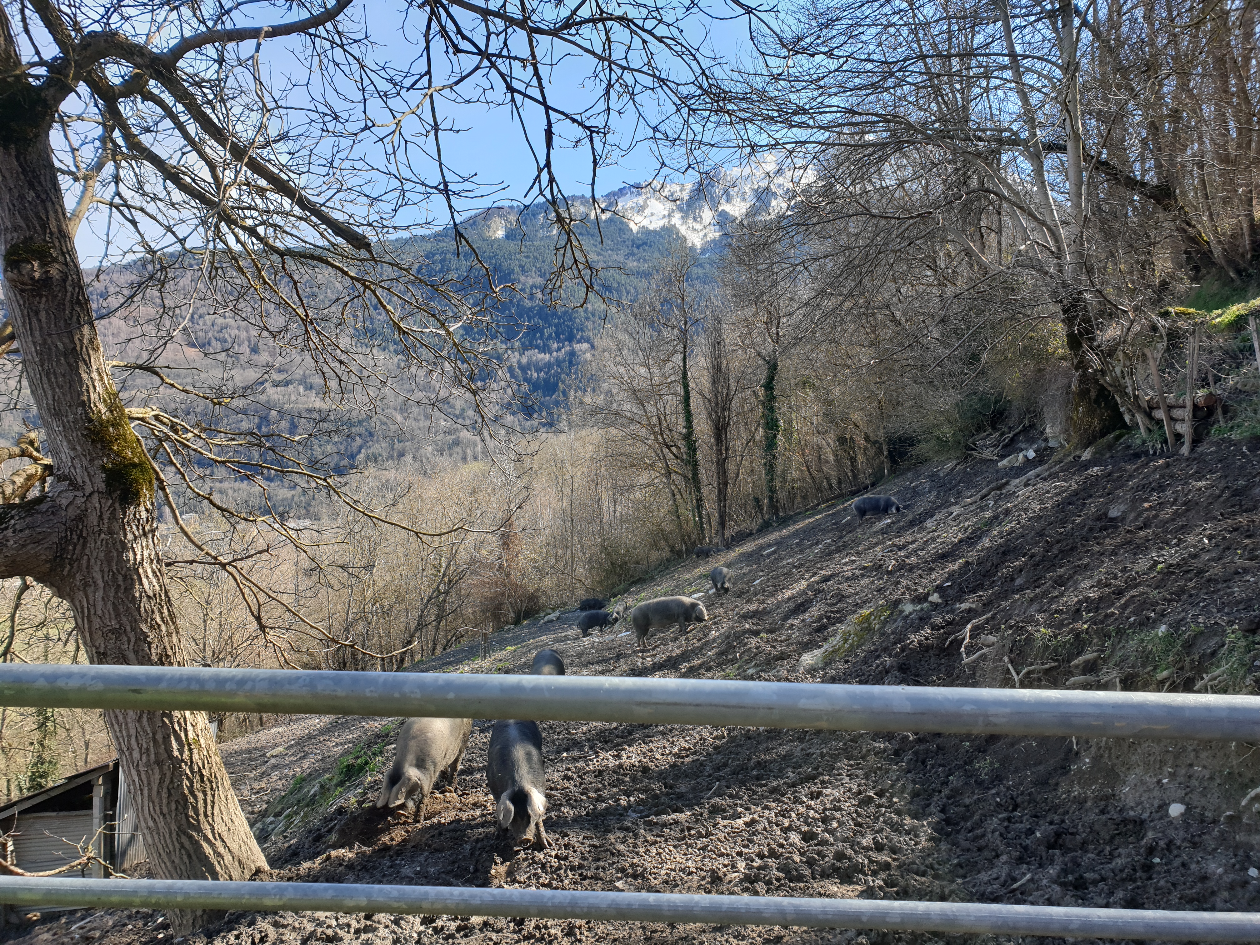 Photo n° 1 de l'avis de Dominique.i fait le 17/03/2024 à 14:07