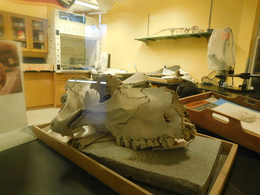 Museum «Museum of the Earth», reviews and photos, 1259 Trumansburg Rd, Ithaca, NY 14850, USA