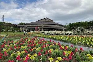 Kirakira Garden image