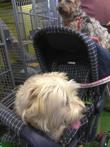 Pet Supply Store «Pet Supermarket», reviews and photos, 1790 SE Port St Lucie Blvd, Port St Lucie, FL 34952, USA