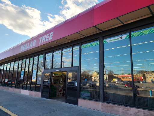 Dollar Store «Dollar Tree», reviews and photos, 24 Portland Ave, Bergenfield, NJ 07621, USA