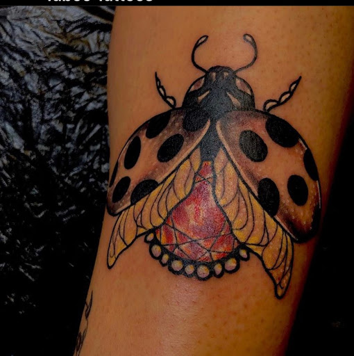 Explore element tattoo ideas, creative tattoo ideas in Keyport, available at Taboo Tattoos