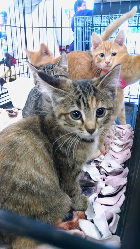 Pet Supply Store «Petco Animal Supplies», reviews and photos, 3731 Gateway Dr, Eau Claire, WI 54701, USA