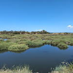 Photo n°3 de l'avis de Andrea.a fait le 05/08/2023 à 06:16 sur le  Trattoria Lo Sfizio 2.0 à Porto Santo Stefano