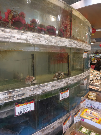 Supermarket «New Age Market», reviews and photos, 160-6 Northern Blvd, Flushing, NY 11358, USA