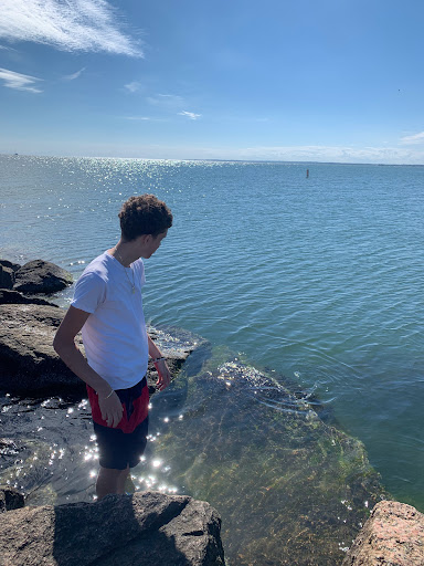 Nature Preserve «Meigs Point Nature Center», reviews and photos, 1288 Boston Post Rd, Madison, CT 06443, USA