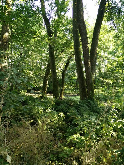 lodging