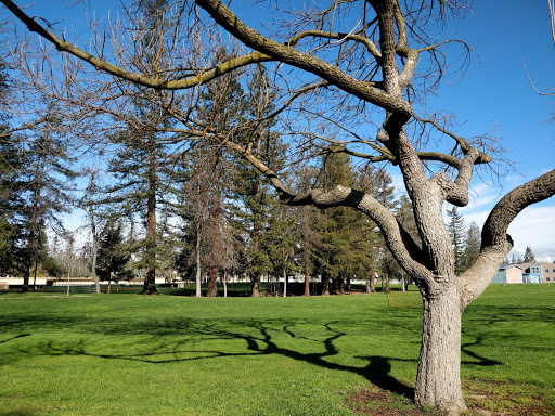 Park «John D. Morgan Park», reviews and photos, 540 W Rincon Ave, Campbell, CA 95008, USA