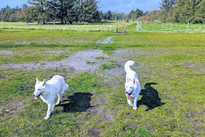 Hundeauslauffläche Wyk image