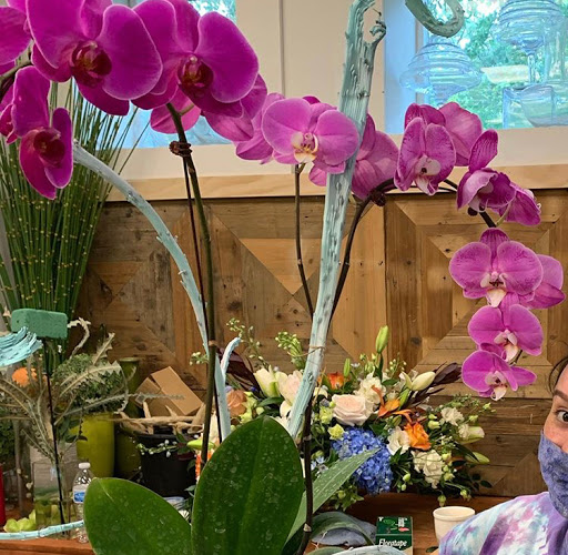 Florist «Arts & Flowers Inc», reviews and photos, 6011 Excelsior Blvd, Minneapolis, MN 55416, USA
