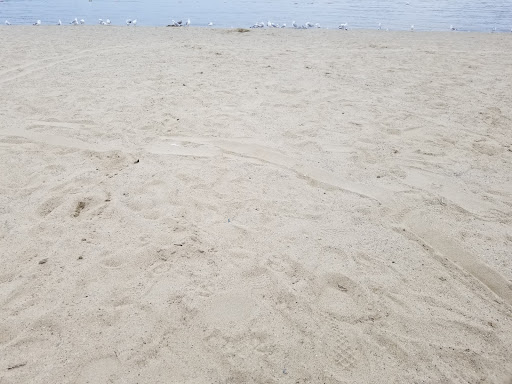 Park «Hopatcong State Park», reviews and photos, 260 Lakeside Blvd, Landing, NJ 07850, USA