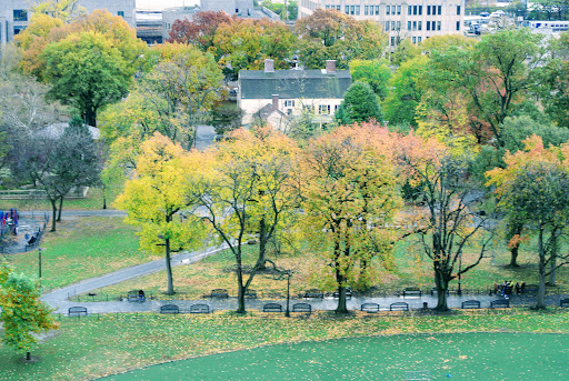 Park «Rufus King Park», reviews and photos, 150-29 Jamaica Ave, Jamaica, NY 11435, USA