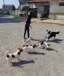 Tommy Ranch Cascina Gabetto, 5, 26855 Lodi Vecchio LO, Italia