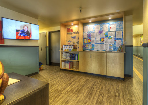 Preschool «Kiddie Academy of Huntington Beach», reviews and photos, 19342 Beach Blvd, Huntington Beach, CA 92648, USA