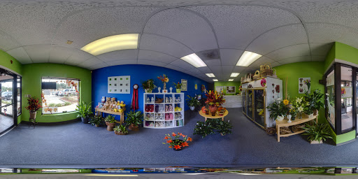 Florist «Xpressions Florist», reviews and photos, 14373 Blanco Rd, San Antonio, TX 78216, USA