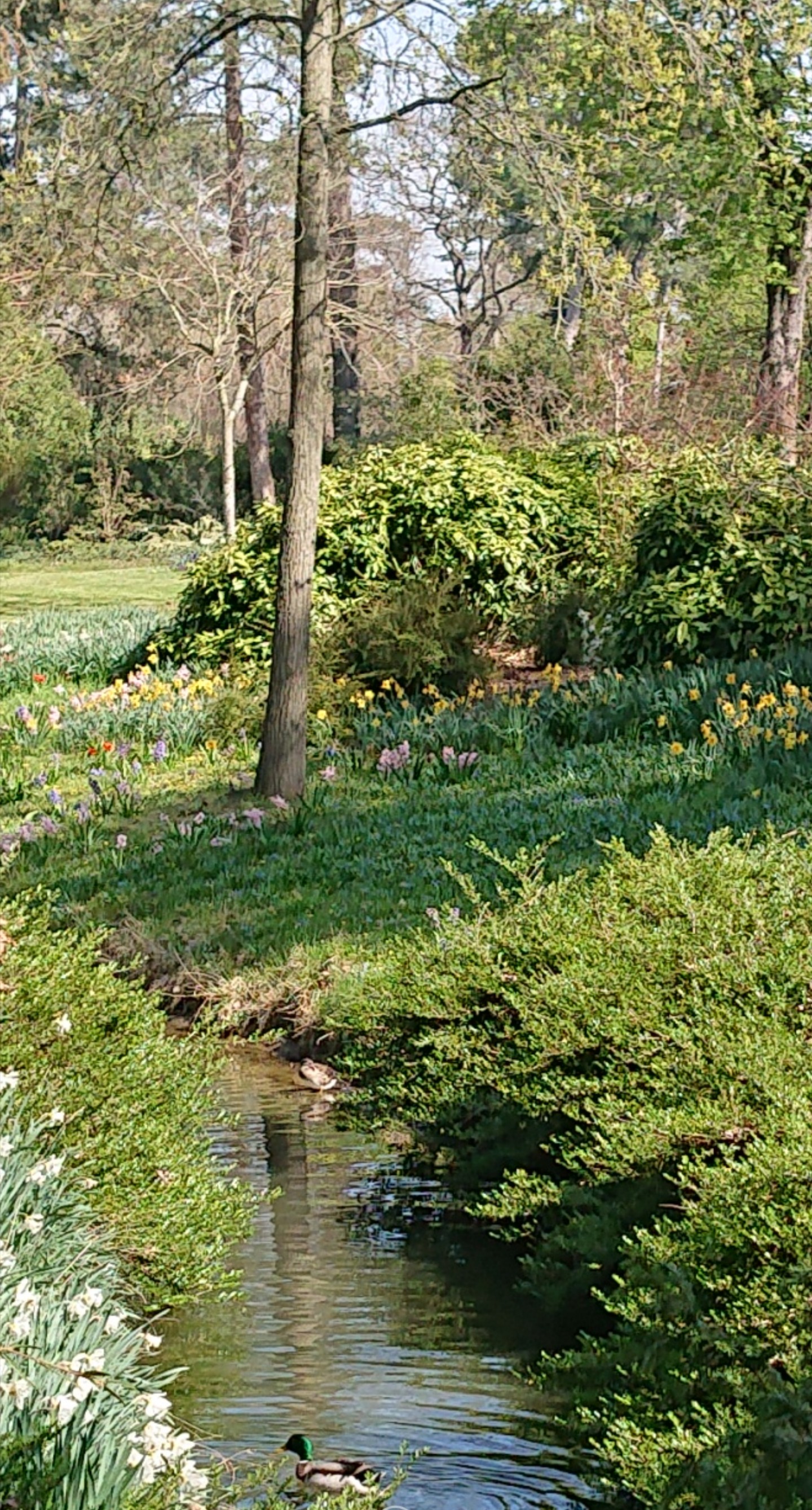 Photo n° 3 de l'avis de Vanina.a fait le 10/04/2023 à 14:40