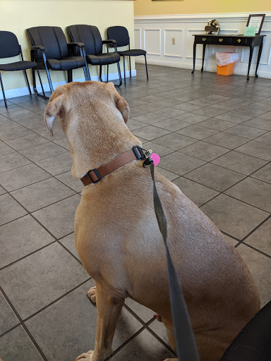 Westside Veterinary Clinic image
