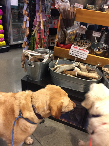 Pet Supply Store «Paddywack», reviews and photos, 15407 Main St #101, Bothell, WA 98012, USA
