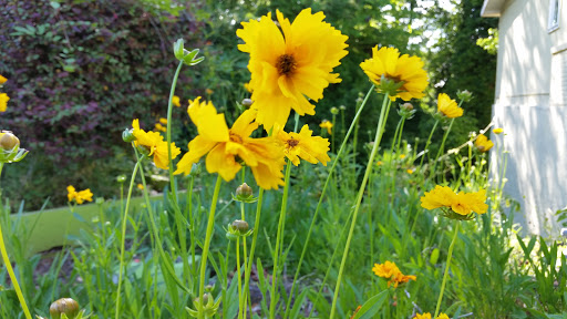 Fabric Store «Intown Quilters, Inc.», reviews and photos, 1058 Mistletoe Rd, Decatur, GA 30033, USA